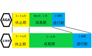 ヘアサイクル